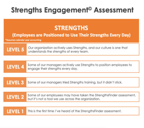 Tools Assessments Strengths Engagement Assessment Center For