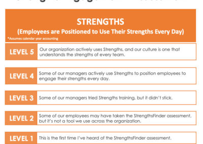[Tools & Assessments]: Strengths Engagement© Assessment