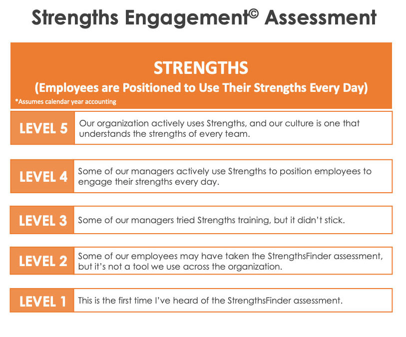 [Tools & Assessments]: Strengths Engagement© Assessment