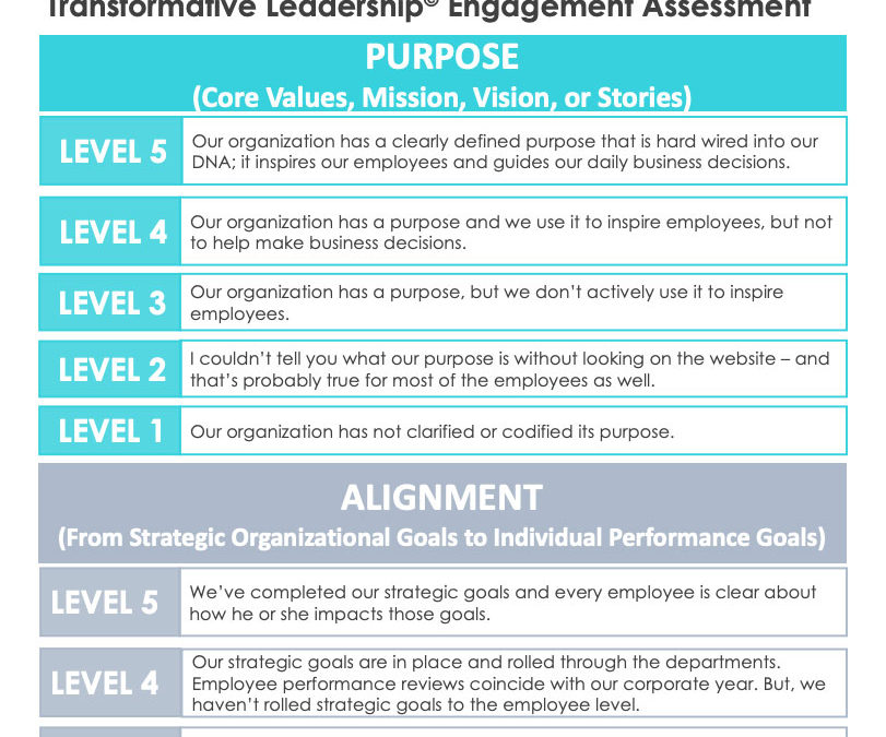 [Tools & Assessments]: Transformative Leadership© Engagement Assessment