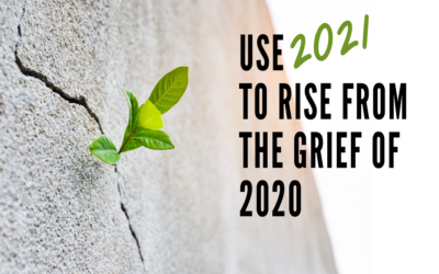 Use 2021 to Rise from the Grief of 2020