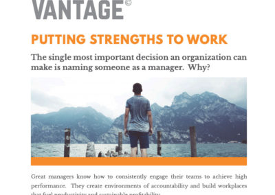 [White Paper]: Putting Strengths to Work