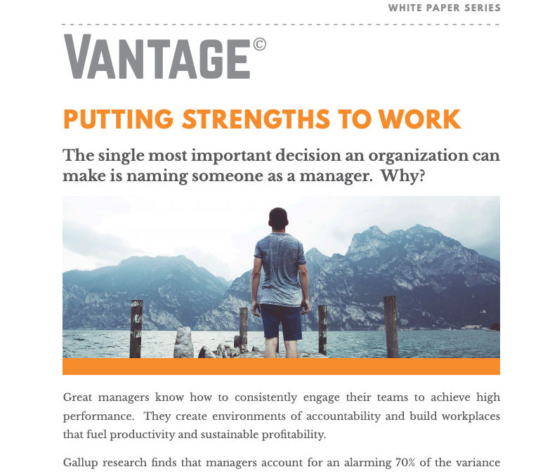 [White Paper]: Putting Strengths to Work