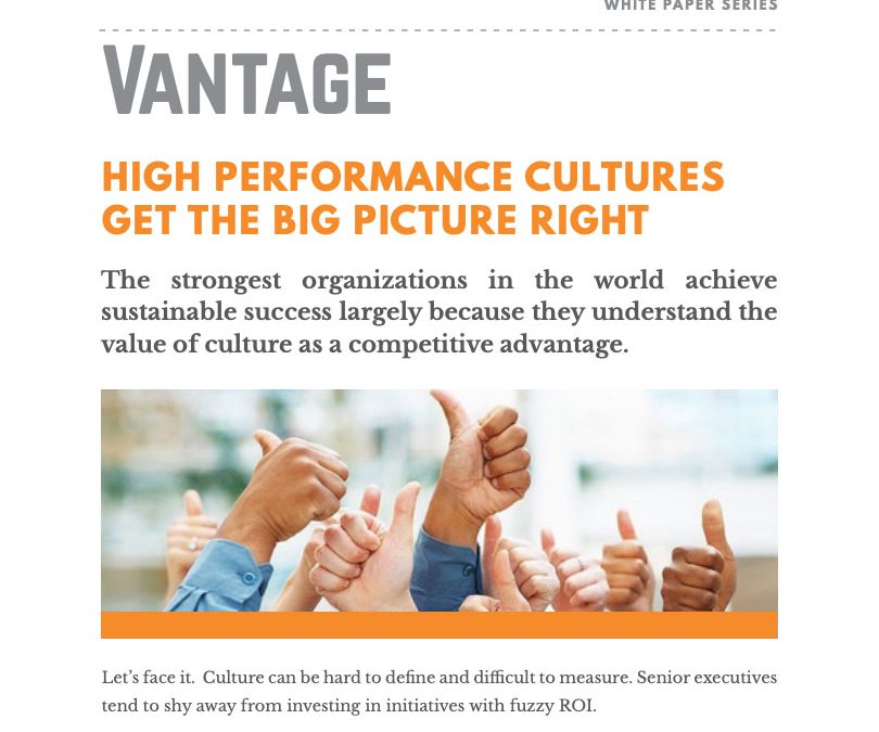 [White Paper]: High Performance Cultures Get the Big Picture Right
