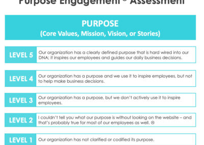 [Tools & Assessments]: Purpose Engagement© Assessment