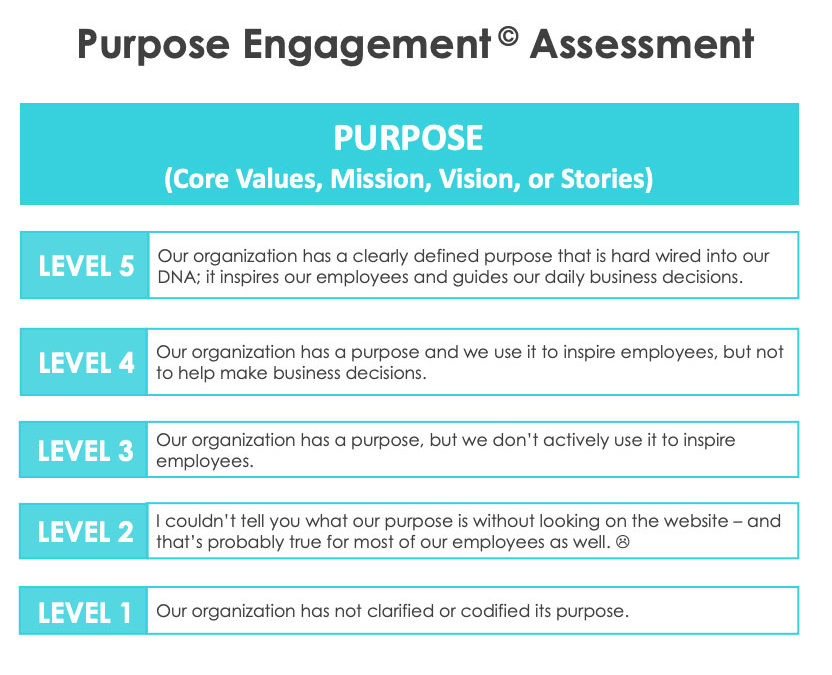 [Tools & Assessments]: Purpose Engagement© Assessment